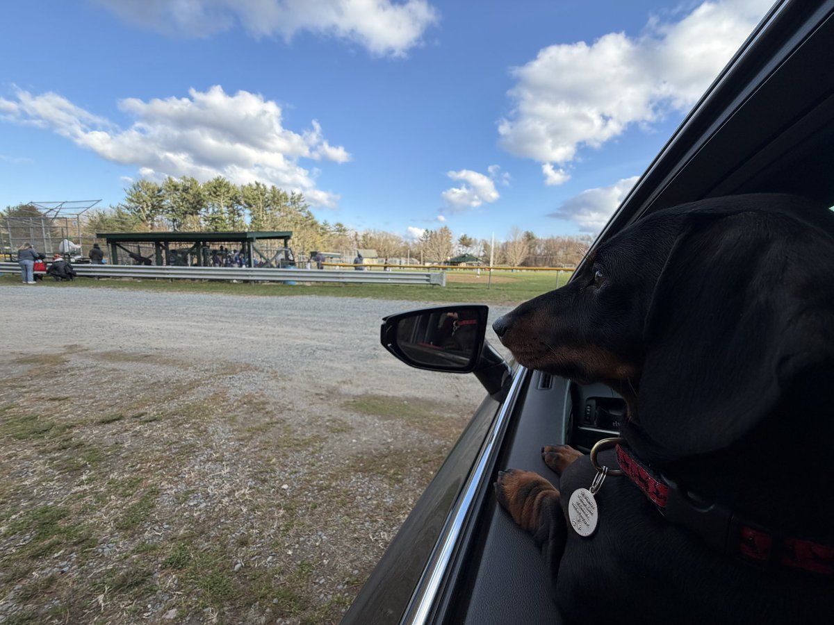 Brian H Levesque tweet media