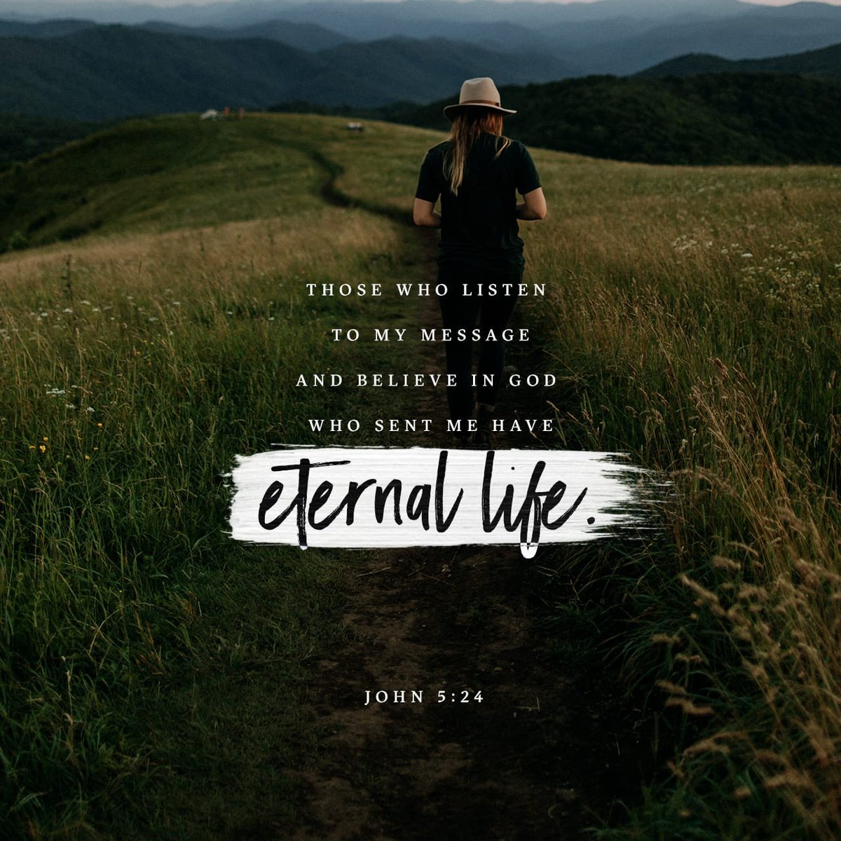 Terry Van Wyk tweet media