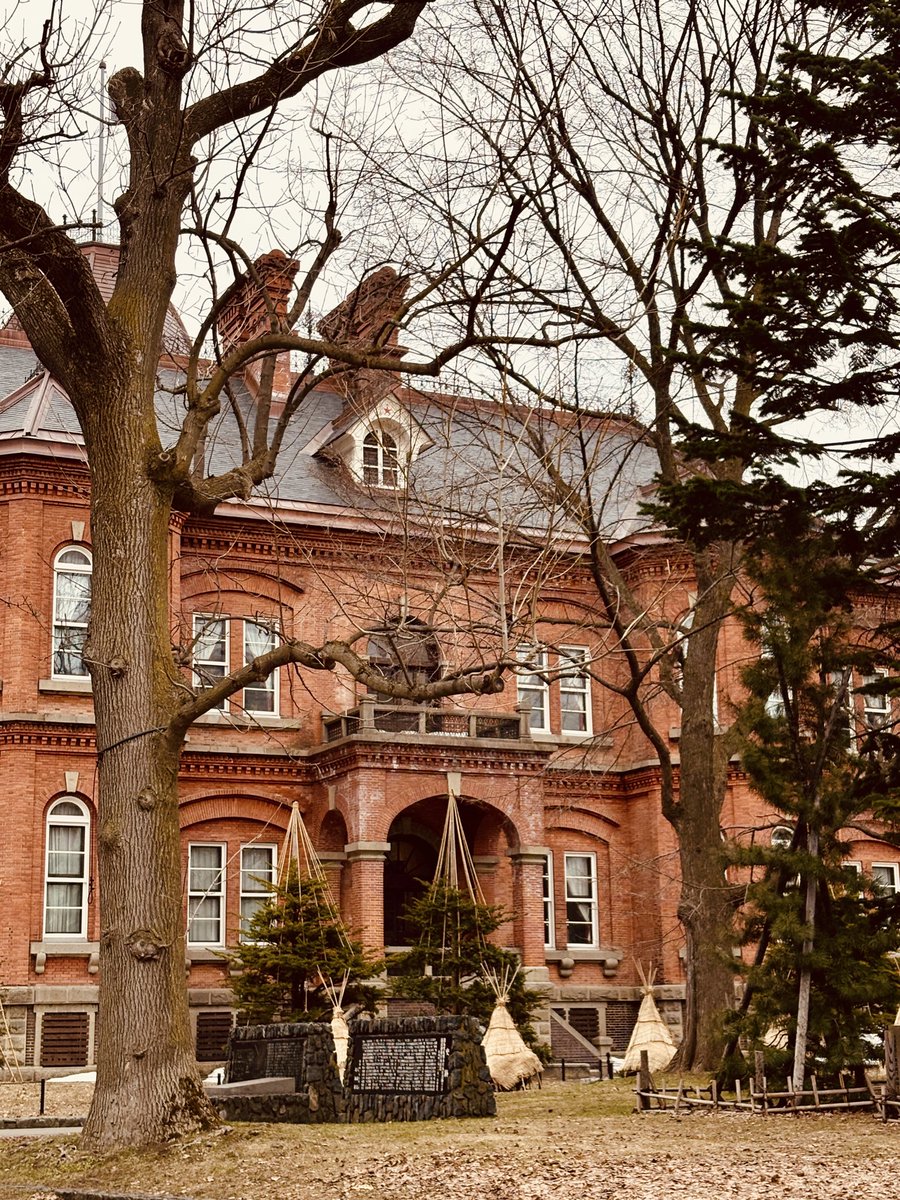 Starry tanuko 🍸 tweet media