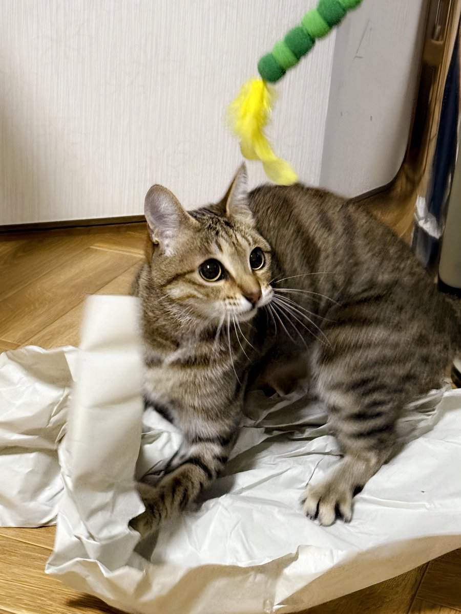 にっか tweet media