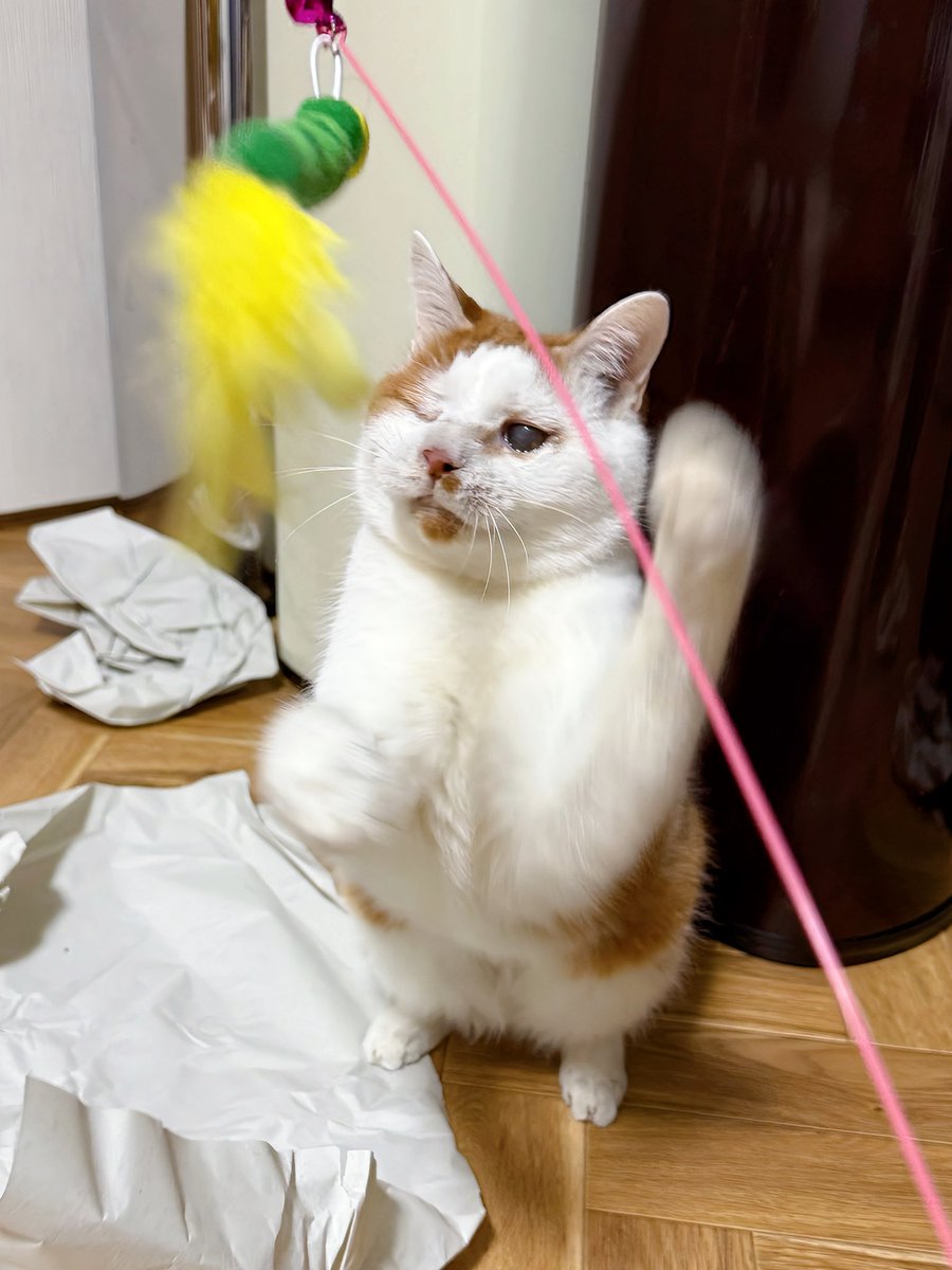 にっか tweet media