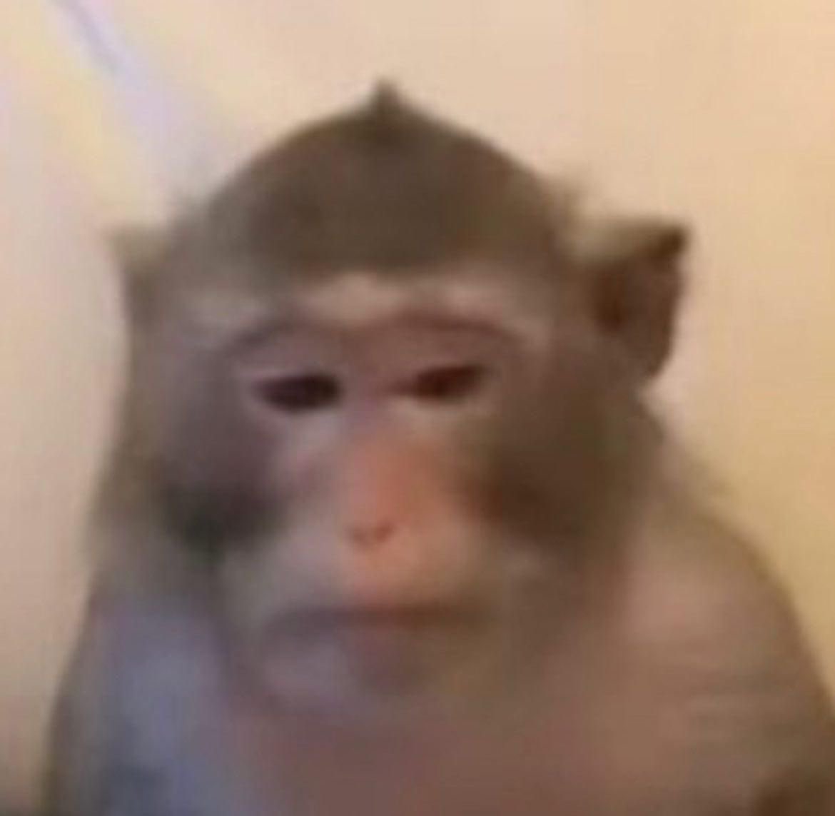 yuth verá a bts ★ tweet media