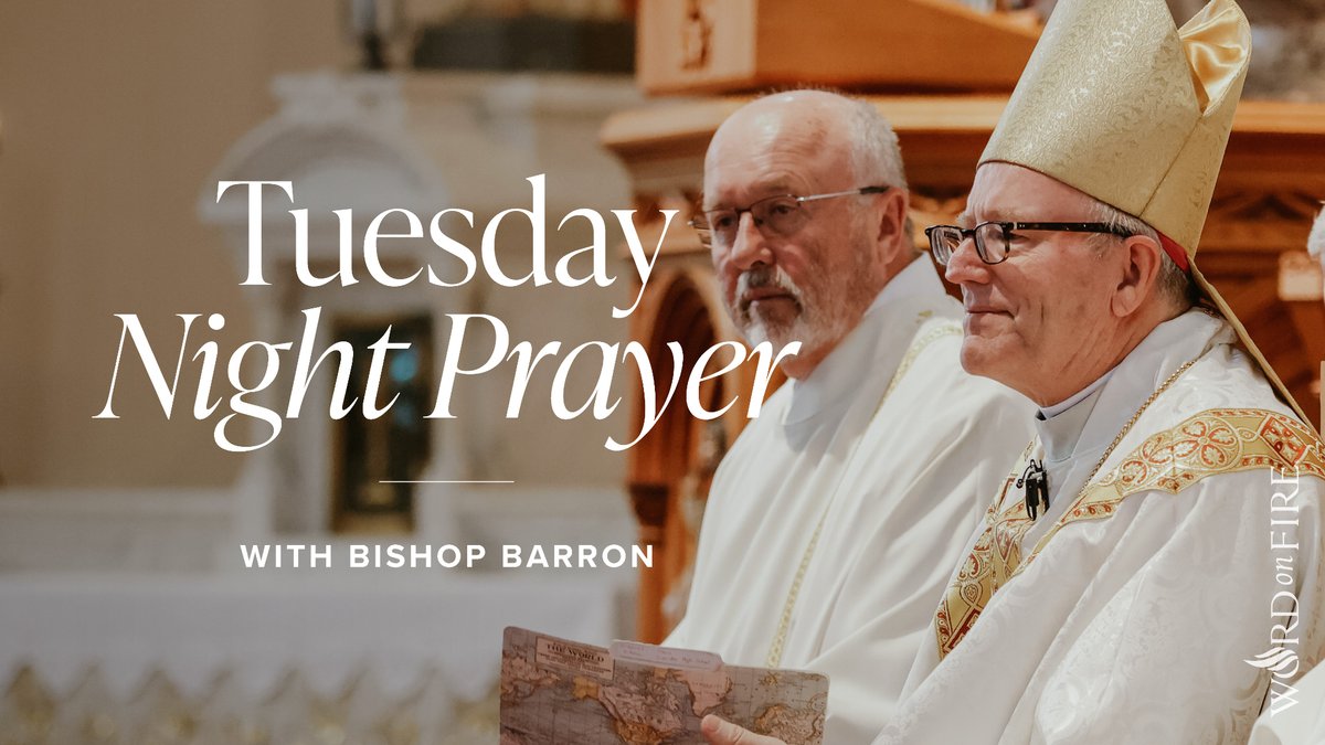Bishop Robert Barron tweet media