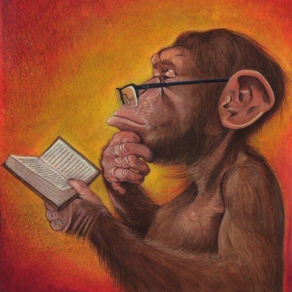 ashawo4franchaela tweet media