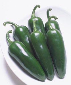 POP@脱サラ農家 tweet media