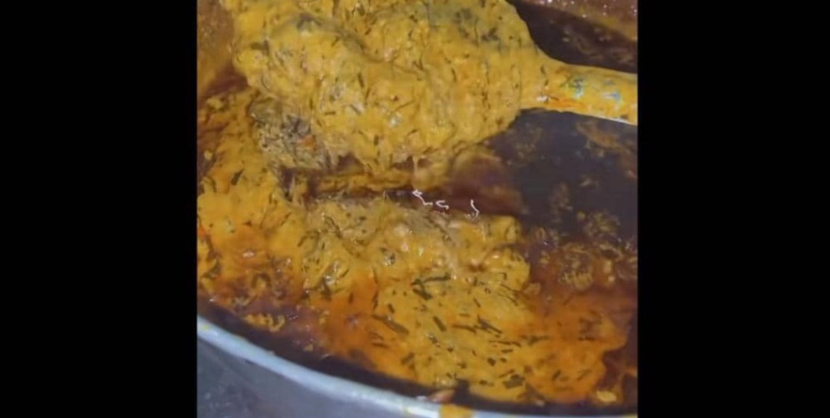 Dr_jeph. tweet media