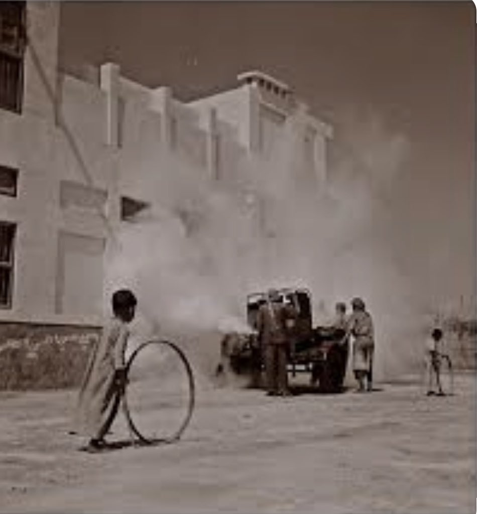 شيماء سبت Shaima Sabt tweet media