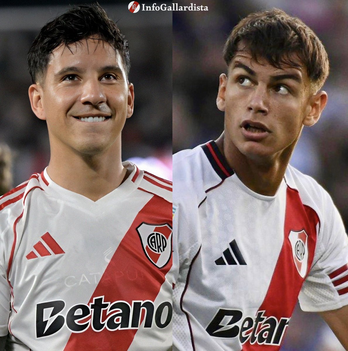 Info Gallardista tweet media