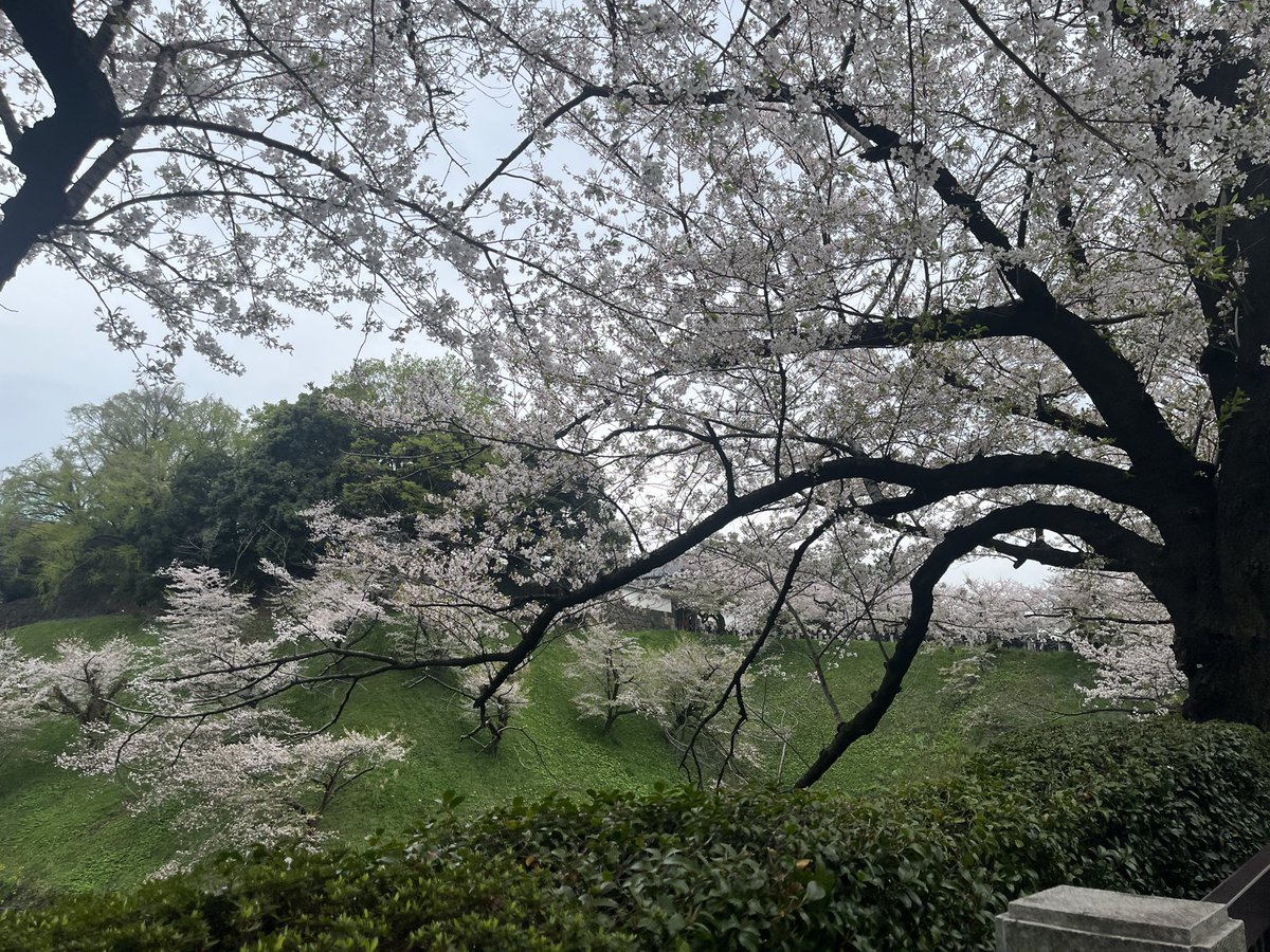 たけのこ@介護のコトまもる人・つたえる人 tweet media