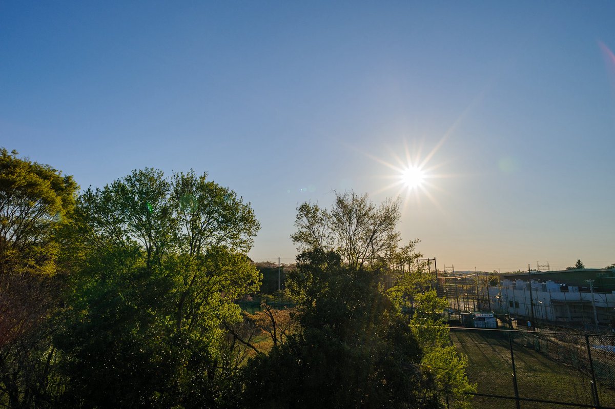 若狭 新一 tweet media