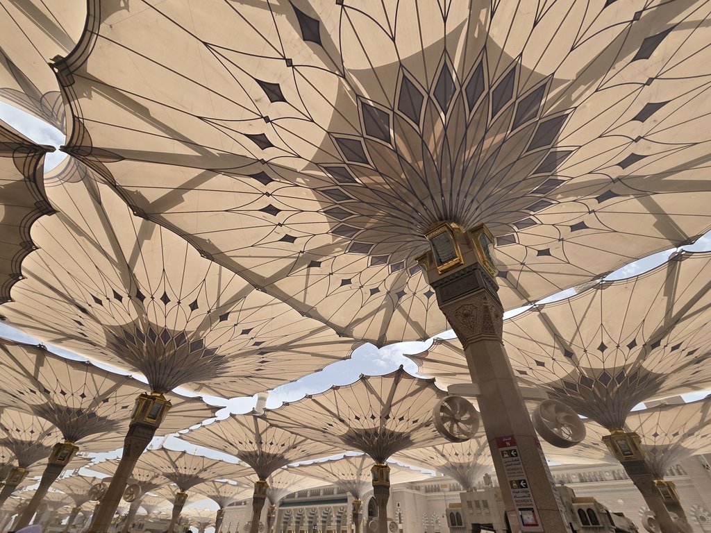 safsaf⁷ tweet media