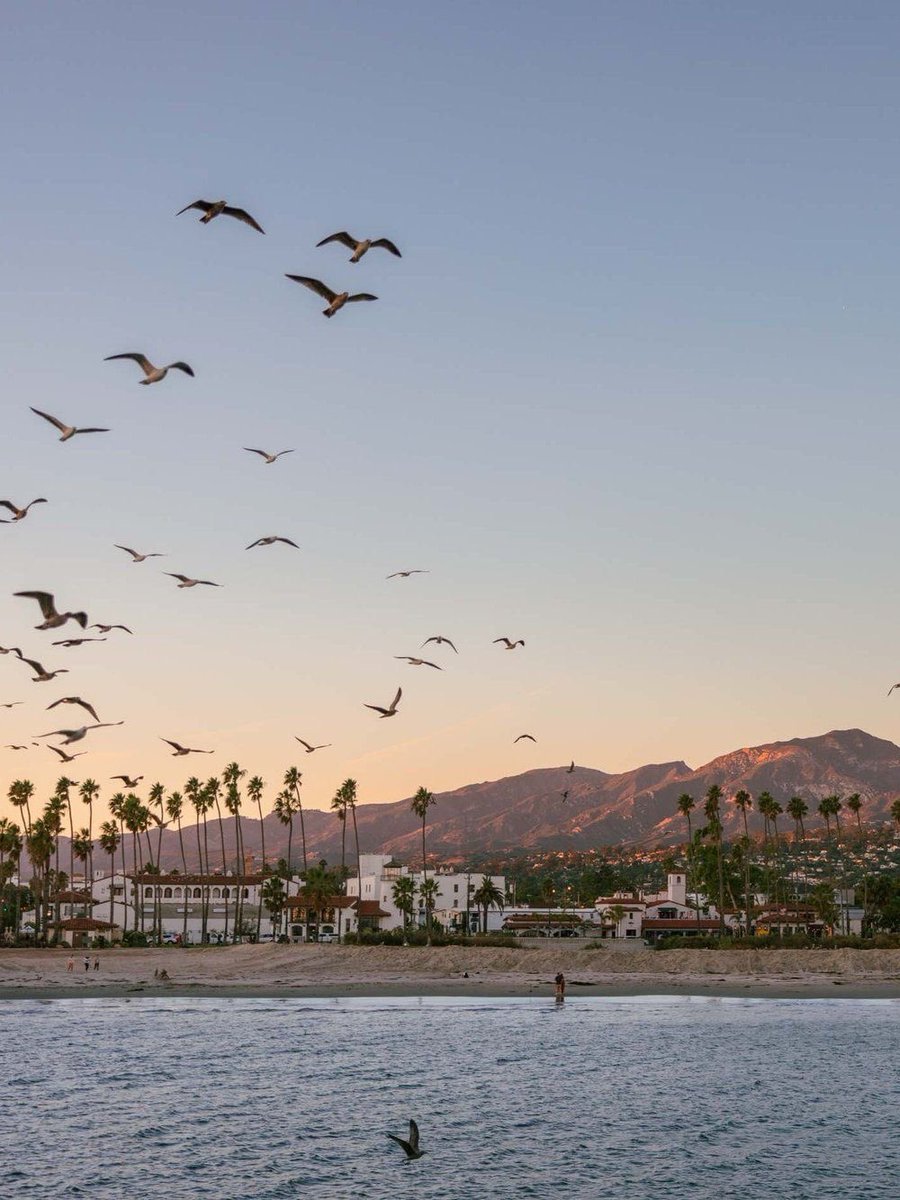 Wander Aesthetic tweet media