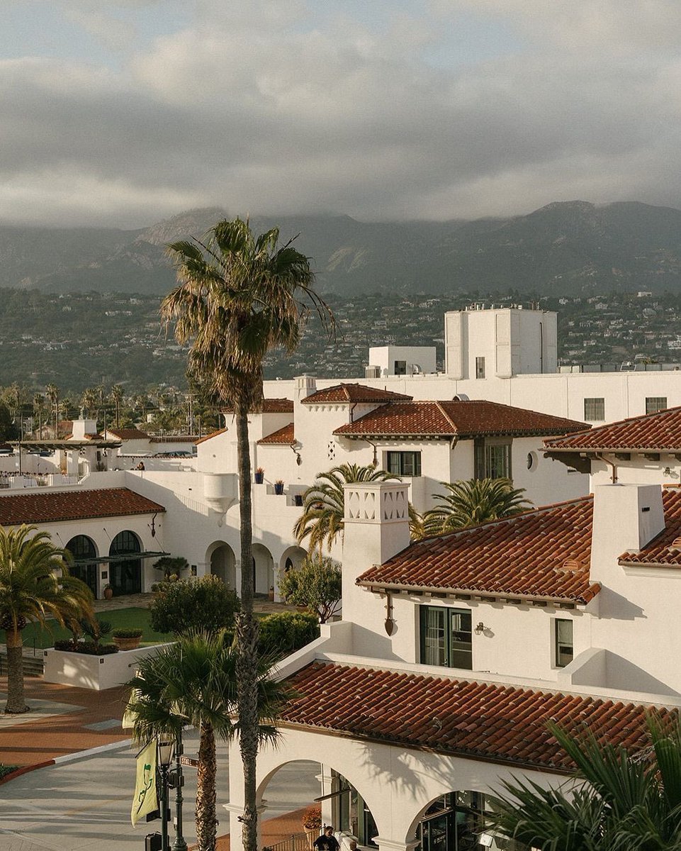 Wander Aesthetic tweet media