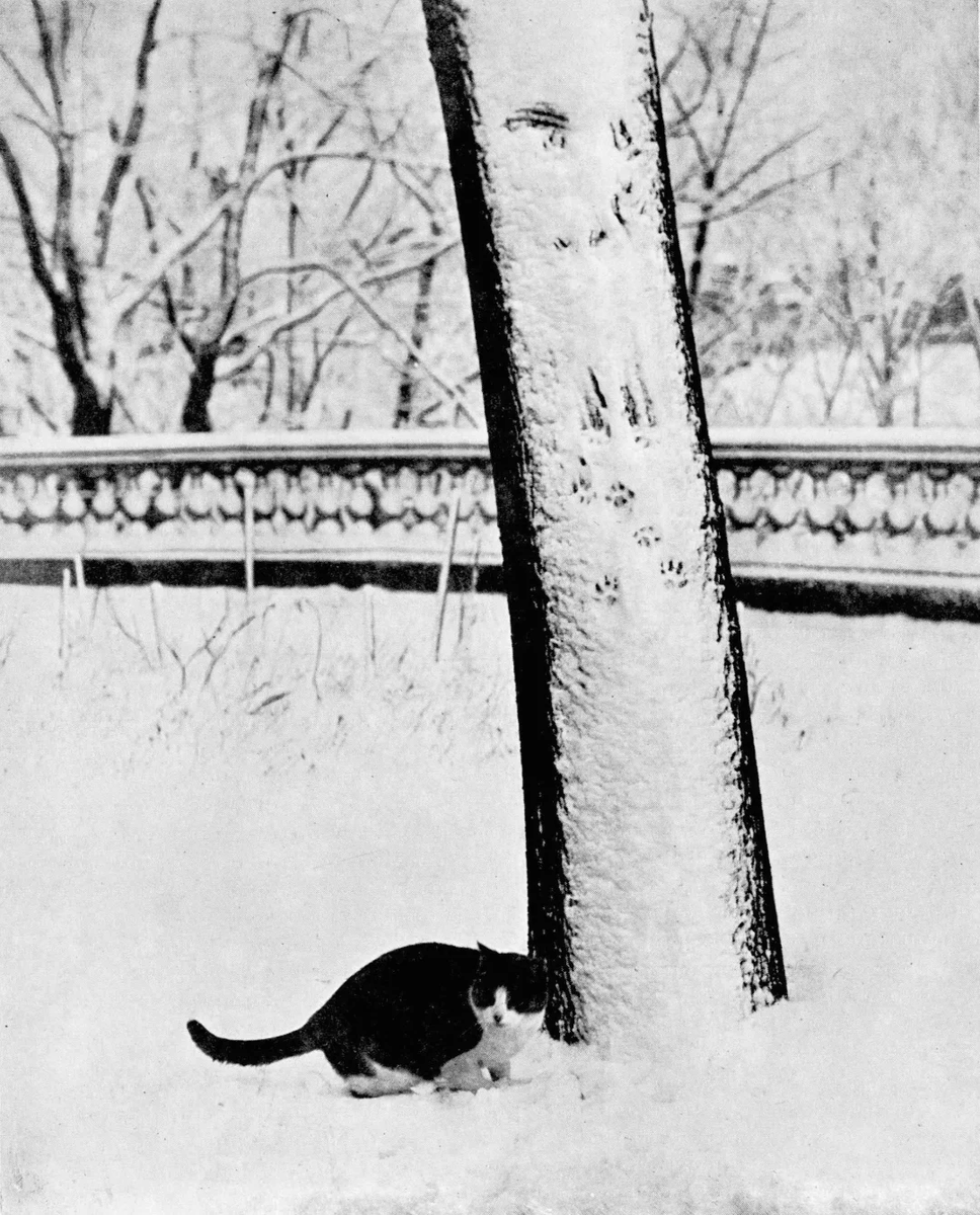photo by William George Alexander - 1942