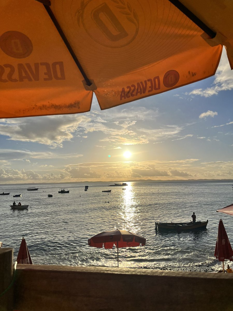 antiespecista baiana tweet media