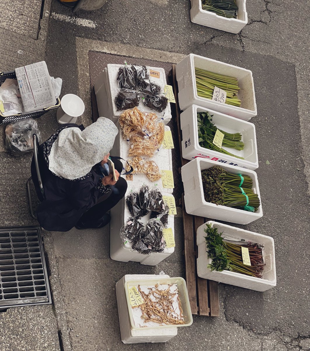 おしけん tweet media