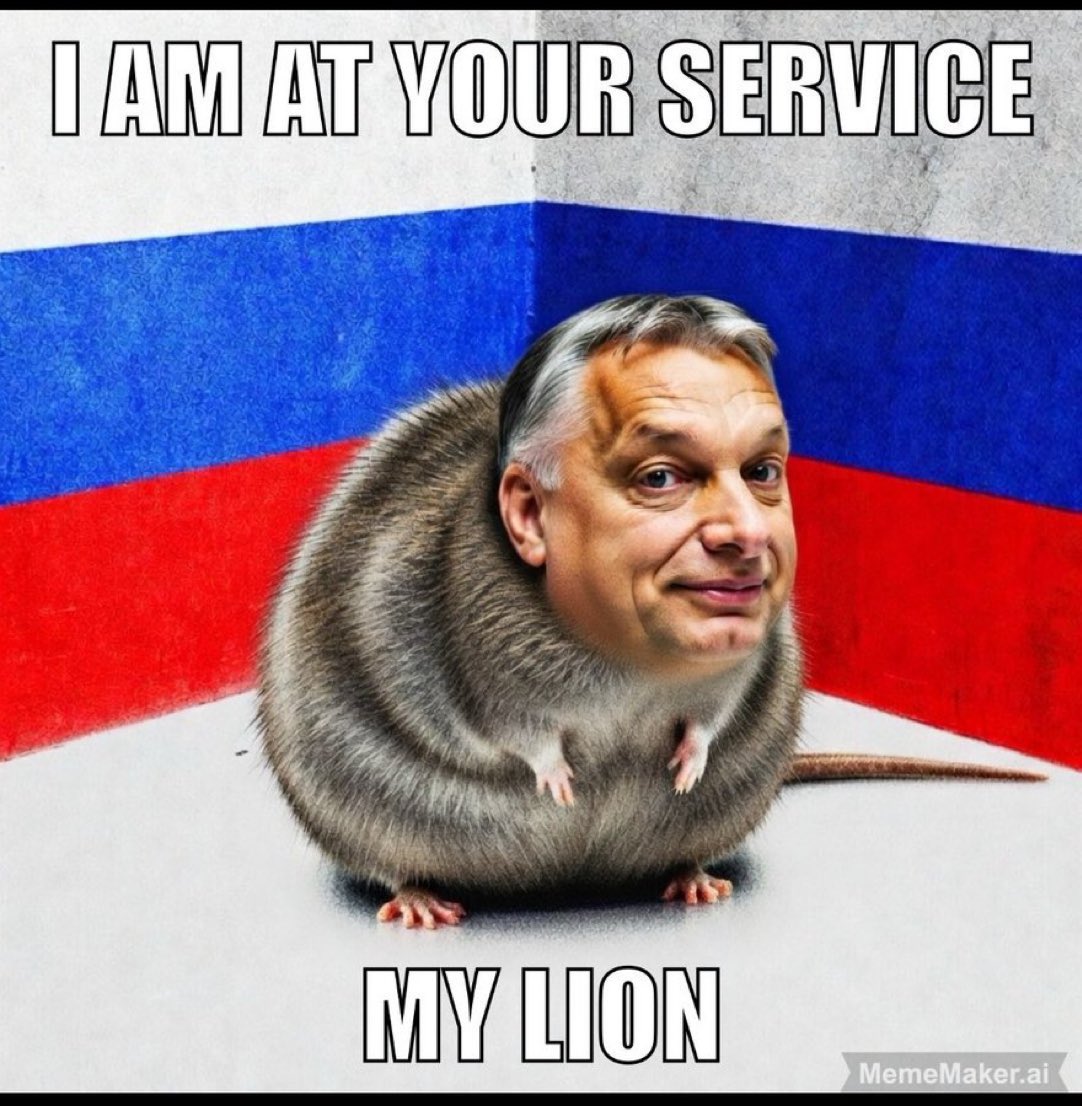 Вестник бури / Буревестник tweet media