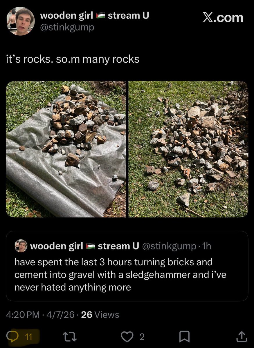 wooden girl 🇵🇸 stream U tweet media