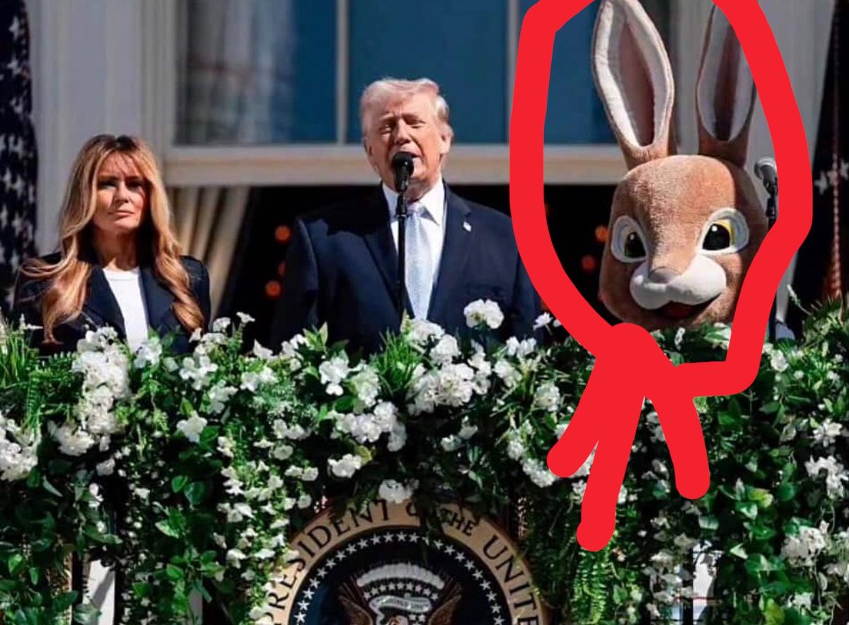 Arvin.ziaee tweet media