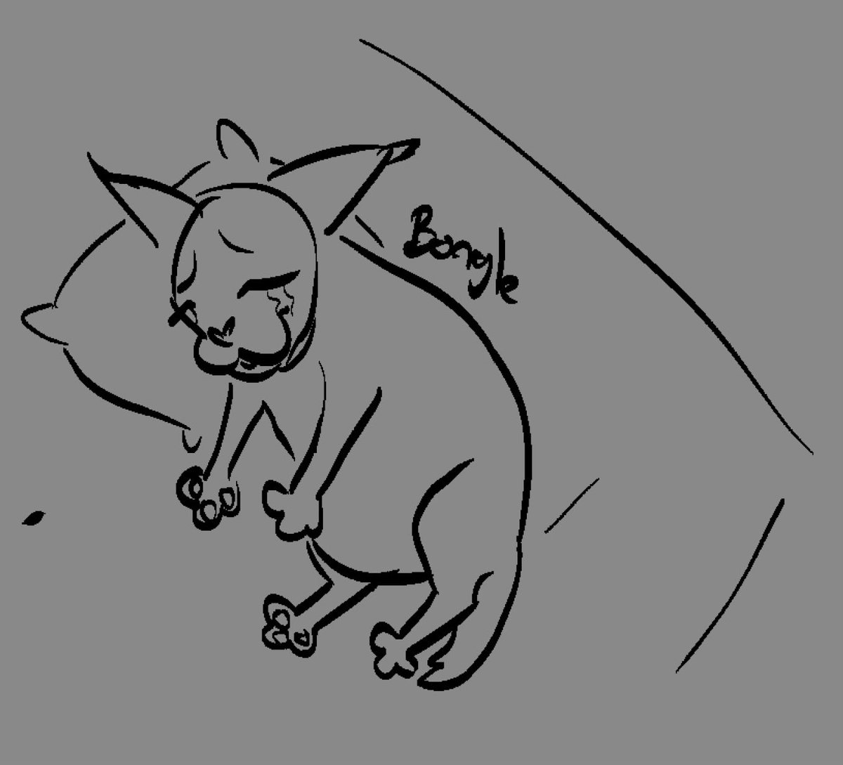 Panteris🐆✨ // COMSS OPEN tweet media