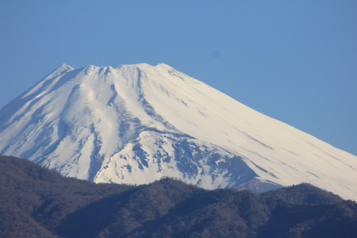 富士半蔵こと橋都彰夫 tweet media