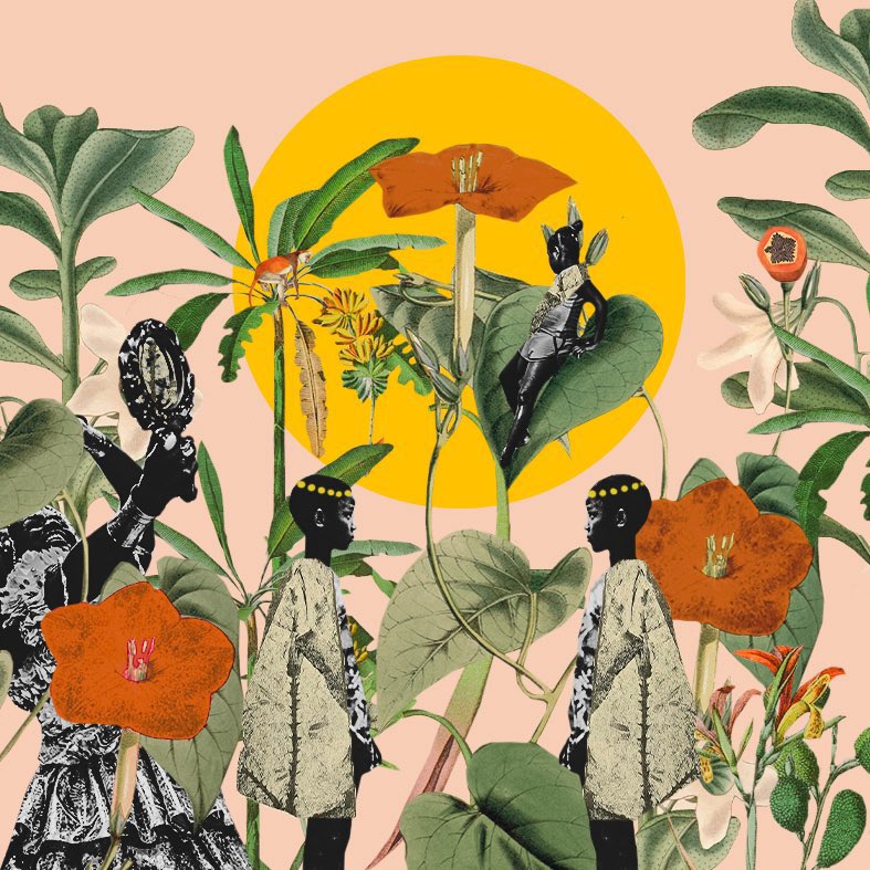 thais silva tweet media