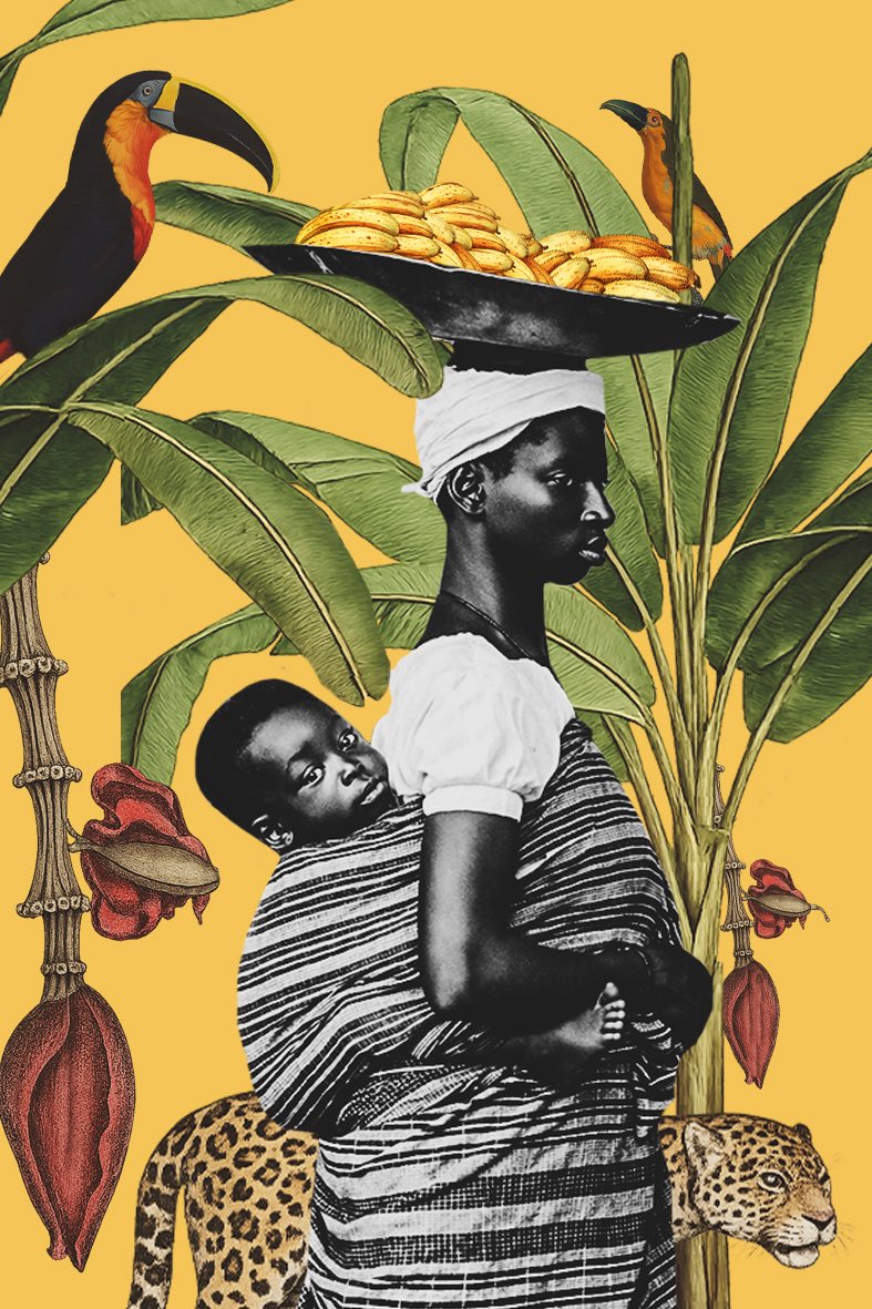 thais silva tweet media