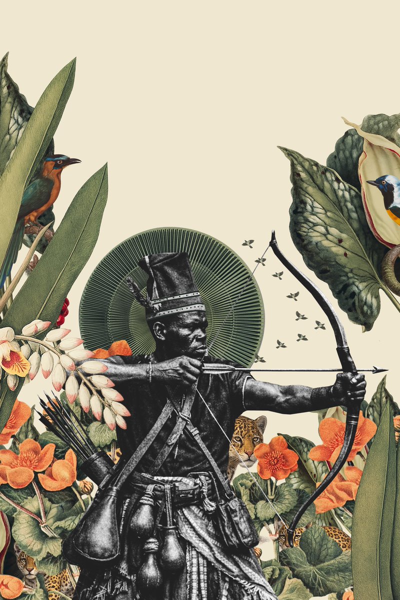 thais silva tweet media