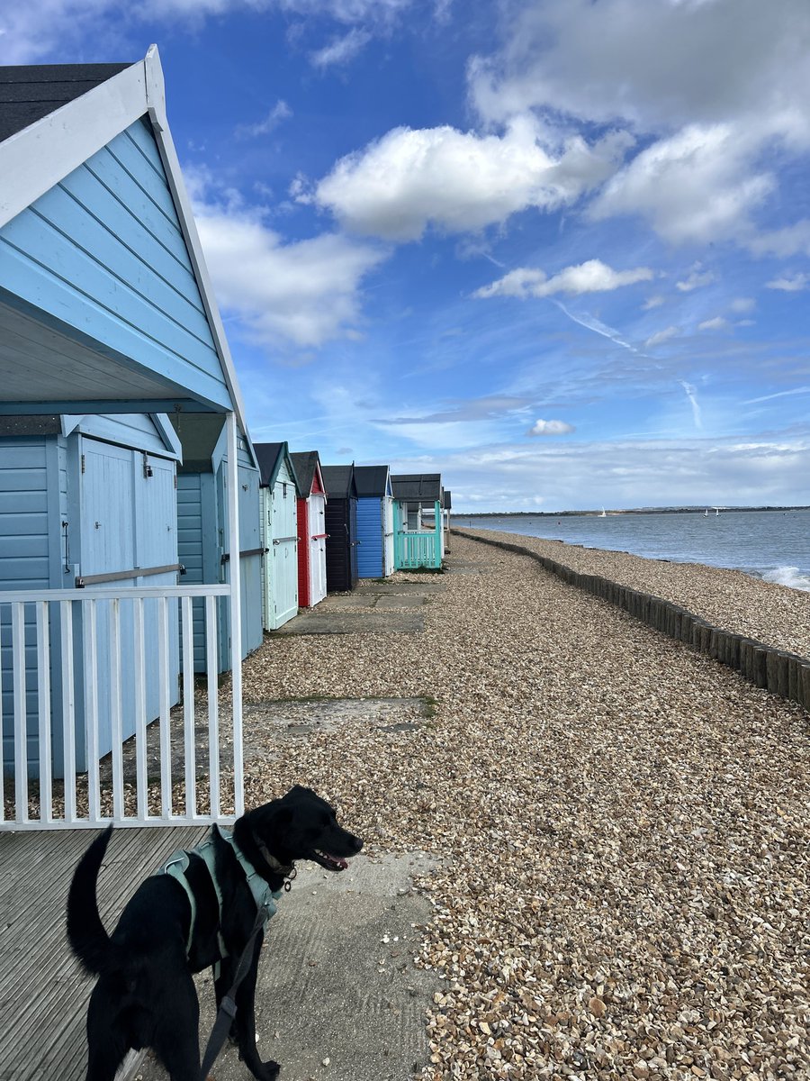 WSouthern_'s tweet photo. Calshot Beach 🇬🇧 https://t.co/u9SR65hwN2