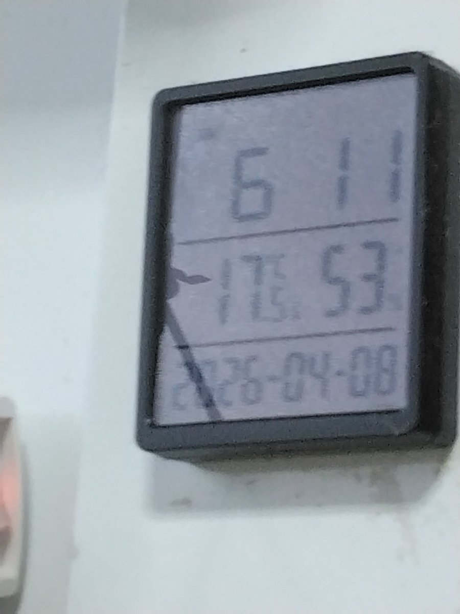 AZUMI◎(お蝶腐人)🐗✨🌕 tweet media