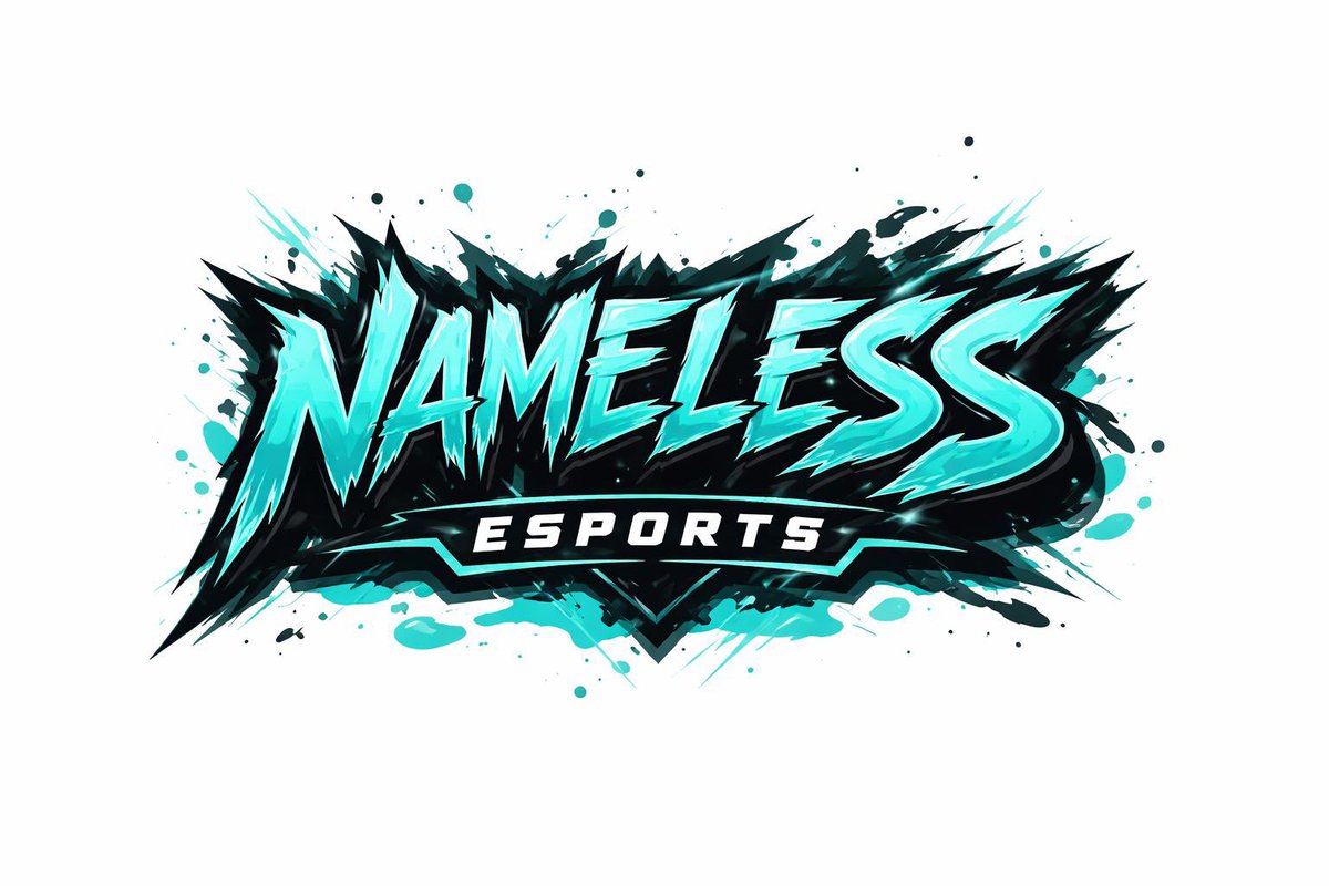 Nameless Esports tweet media