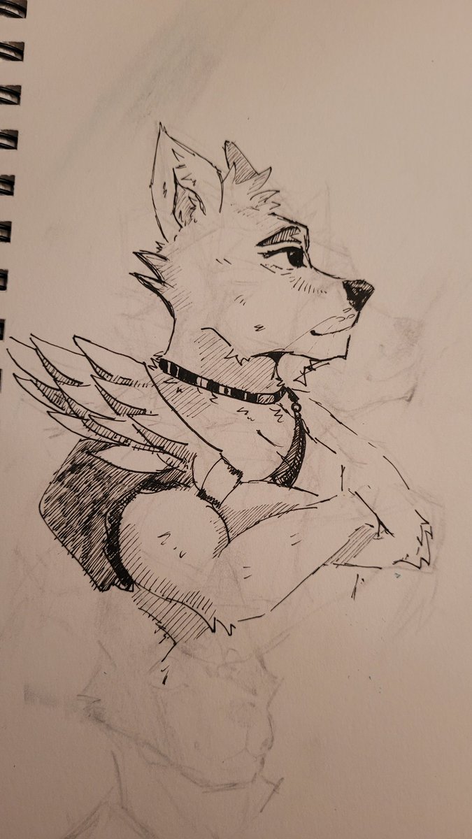 definitelypisk's tweet photo. Day 4 - Cassius

#furry #adastra https://t.co/nZ6aCFcFso