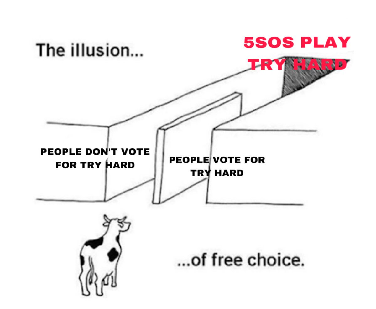 agata is a STAR ⭐️ tweet media