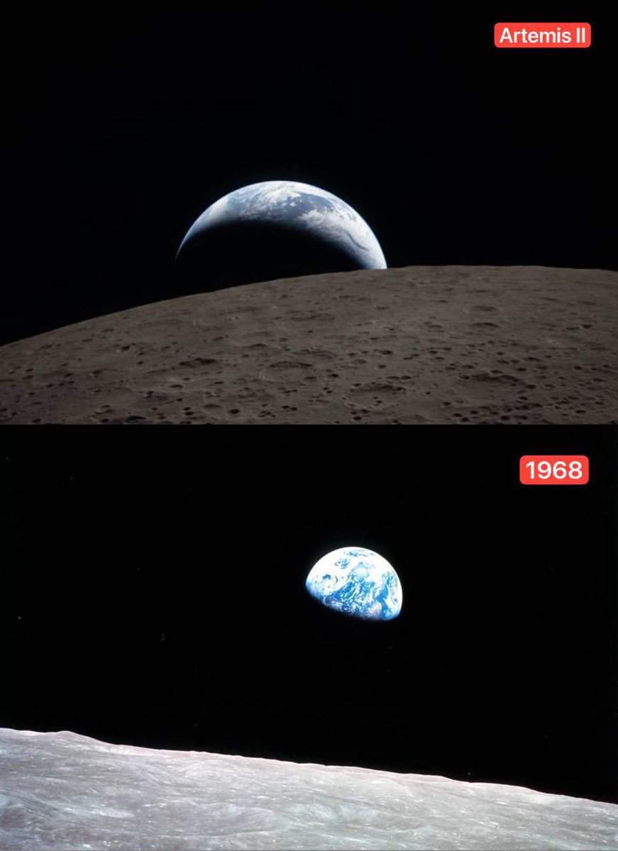 Mr. Whale tweet media