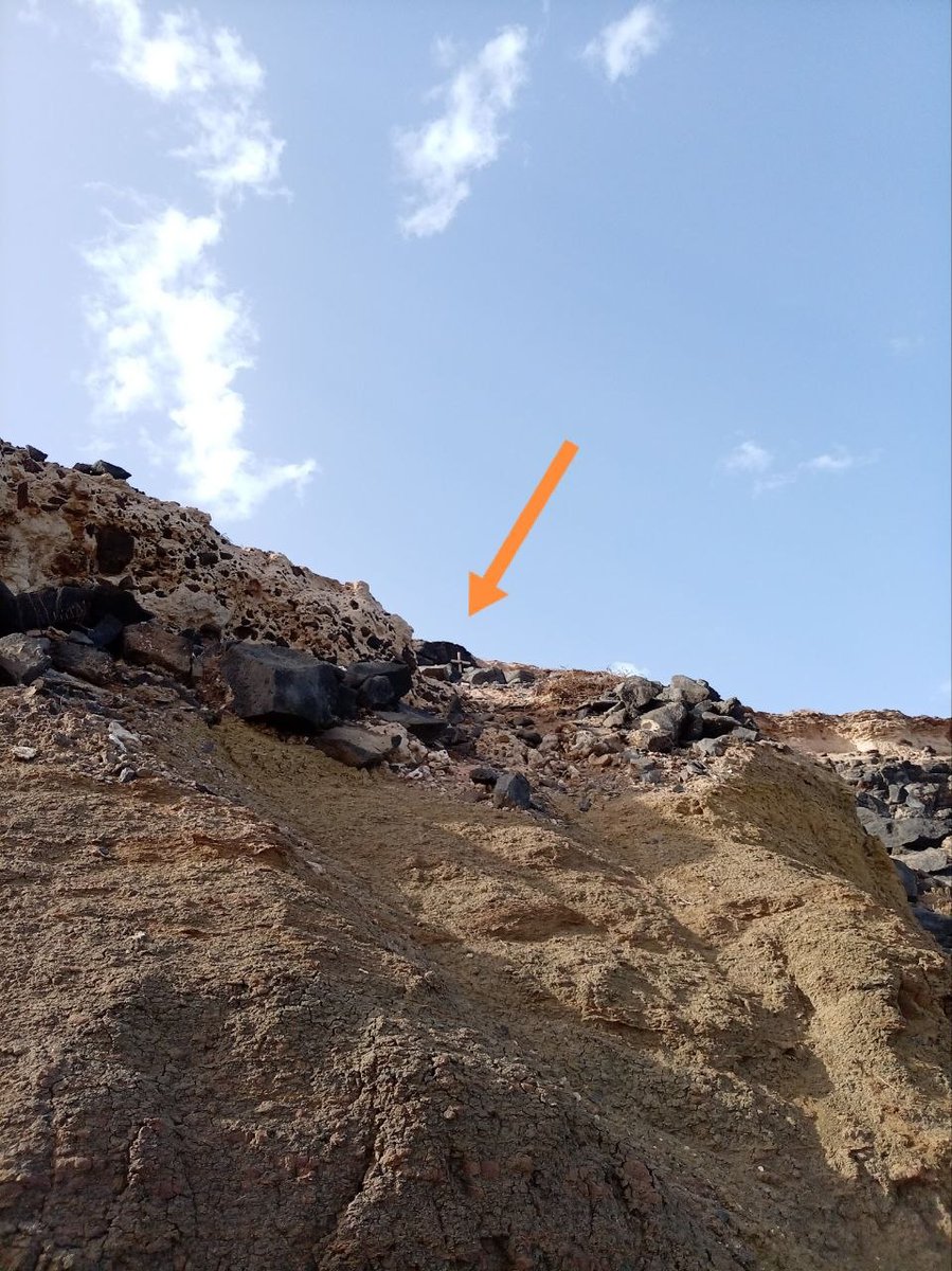 ruslan & laperm tweet media