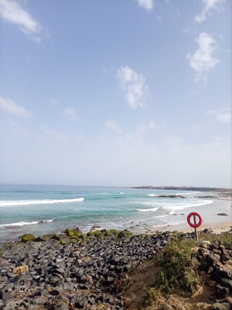 ruslan & laperm tweet media