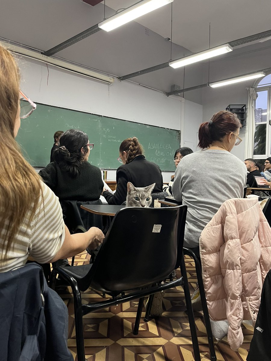 jujuy☆ tweet media