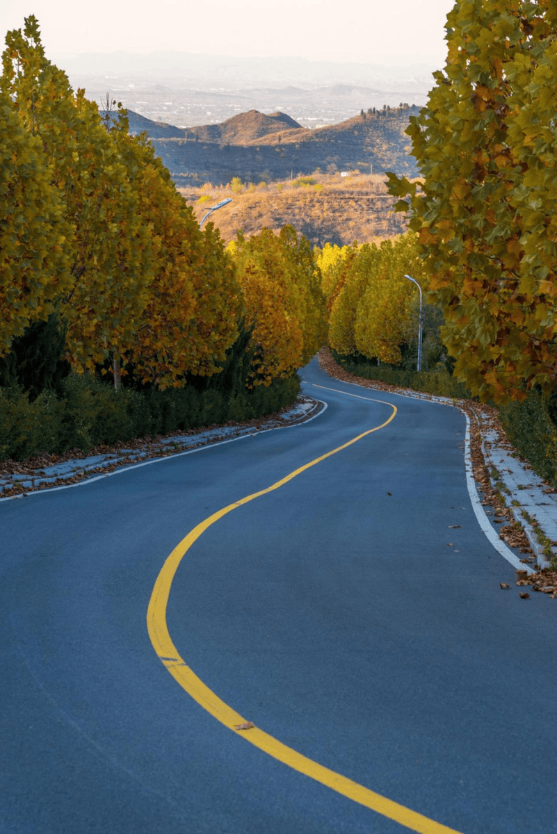 alessandro tweet media