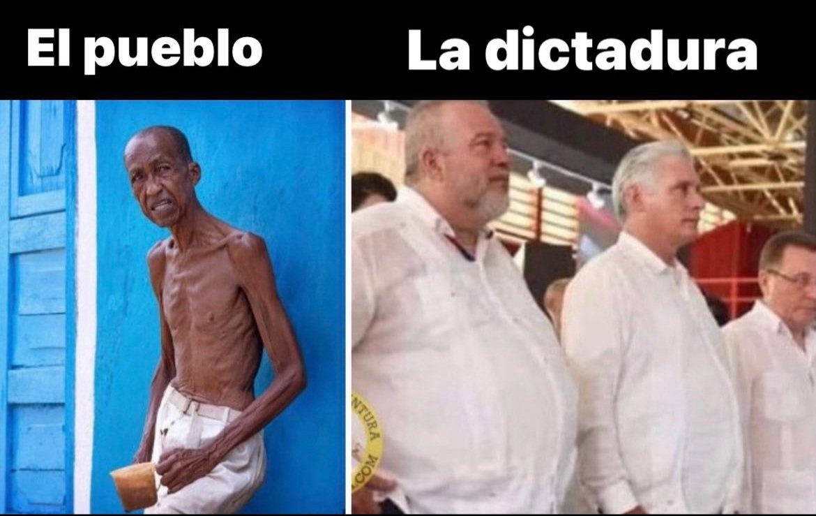 Fernanda tweet media