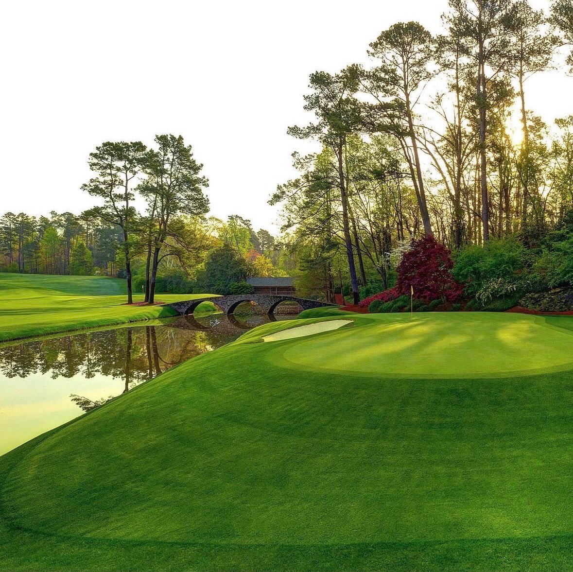 Tour Pro 🏌️‍♂️ tweet media