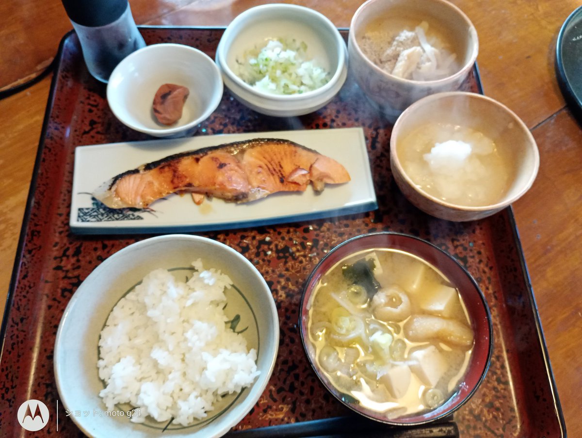 ドッコイ tweet media