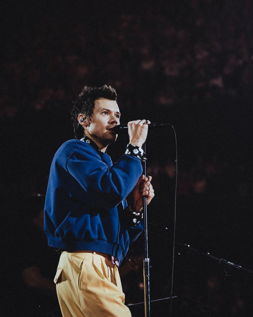 Harry Styles Brasil 💋🪩 tweet media