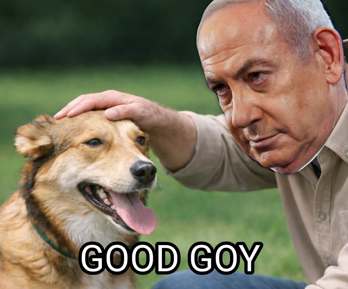 Kemedehe 🛠🌯🏴 tweet media