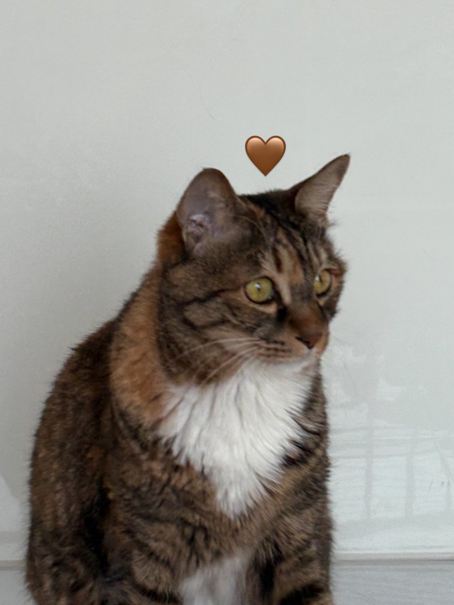 260408 #남지현 인스타그램 

근황 착착📚