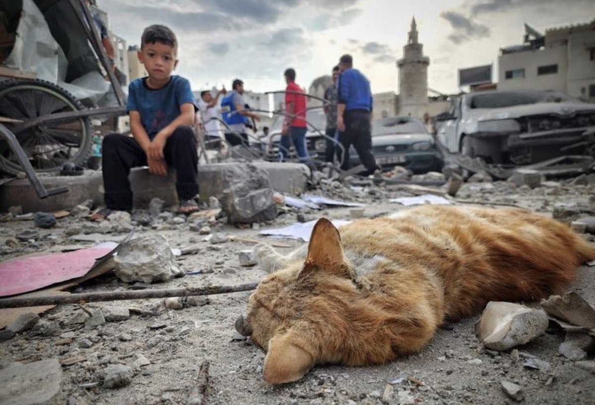 SkittlesFriends's tweet image. Skittles: We Here at Skittles and Friends are  totally against the threats to “Eliminate the Iranian Civilization” 😿😿😿
The Big Guy is a Twelve Year Veteran, and has seen the results of humans inhumanity towards other humans and their Pets,
😱😱😱
#TuesdayThoughts 
#Purrs4Peace