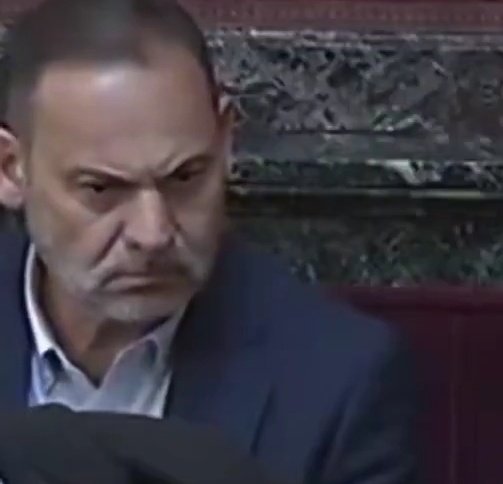 Mirrep II 🐑 tweet media