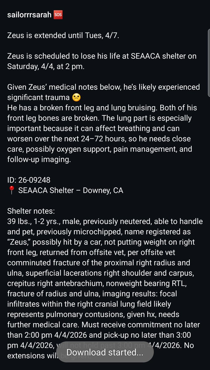 Foster a shelterpet at ZERO COST🐾 tweet media