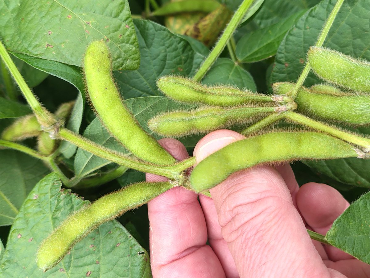 Martín Sánchez tweet media