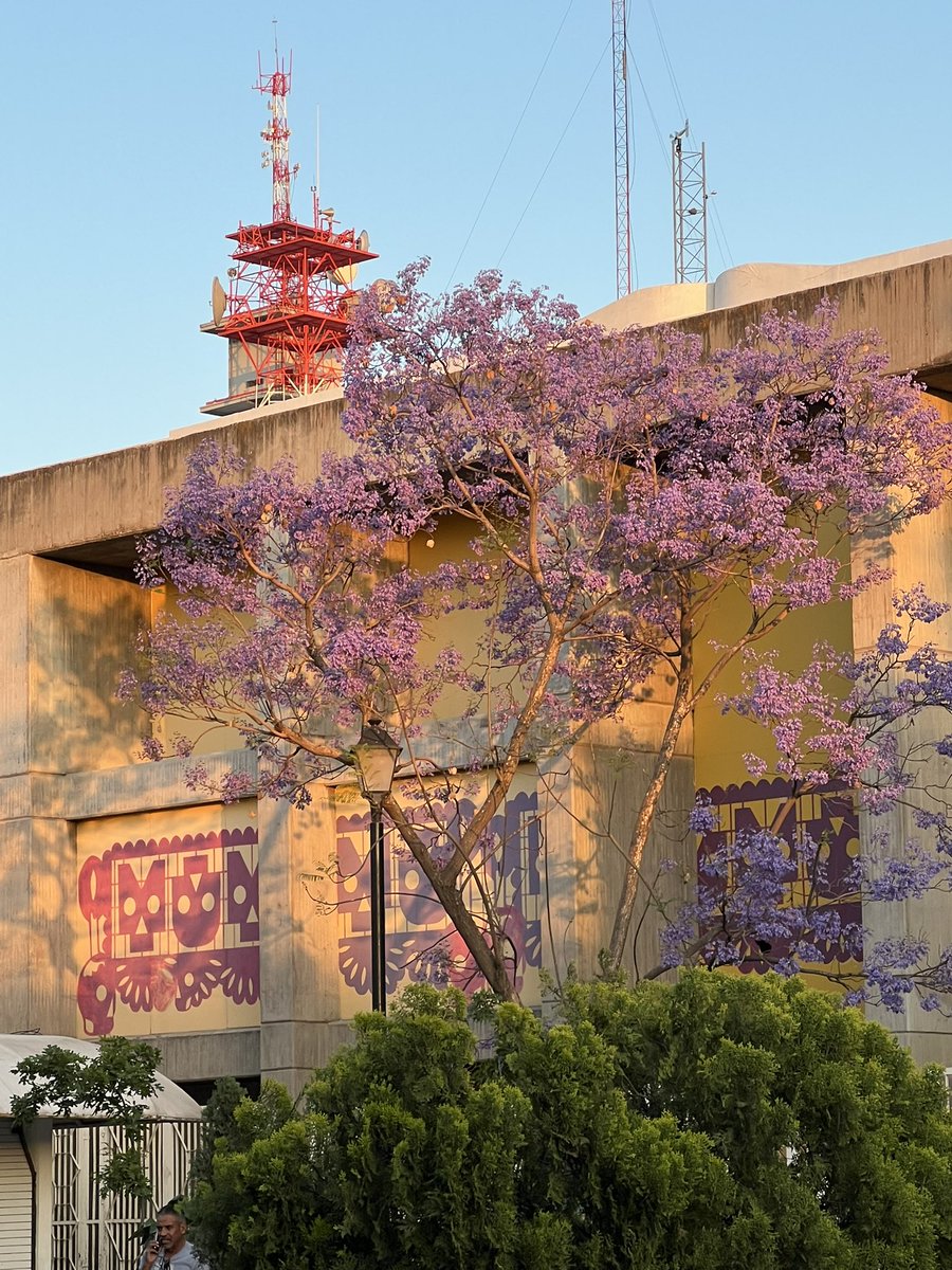 Havita Desarrollo Local tweet media