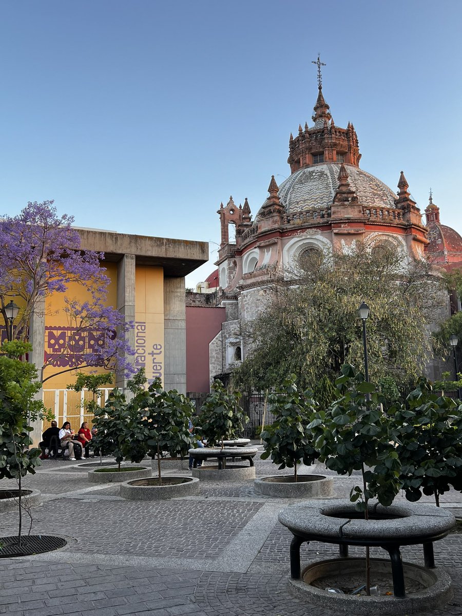 Havita Desarrollo Local tweet media